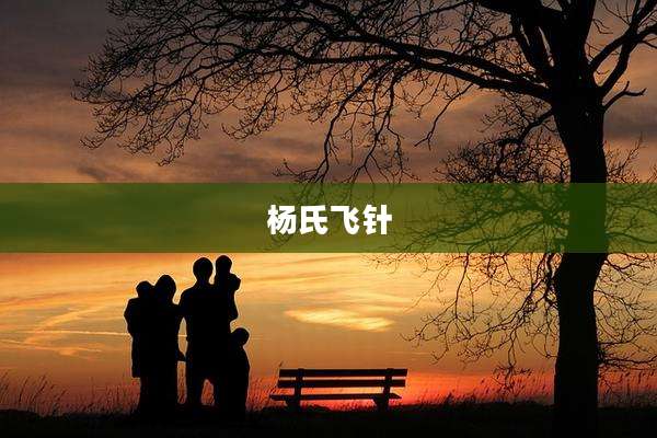 杨氏飞针