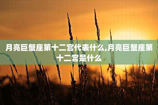 月亮巨蟹座第十二宫代表什么,月亮巨蟹座第十二宫是什么