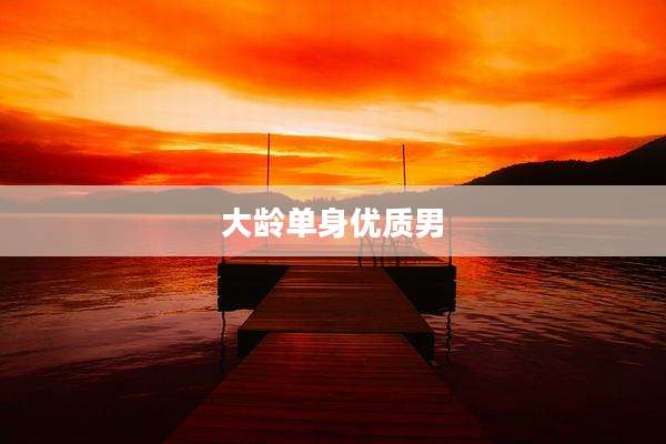 大龄单身优质男