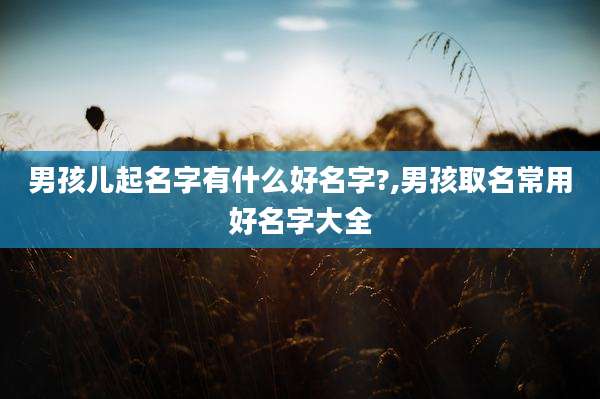 男孩儿起名字有什么好名字?,男孩取名常用好名字大全