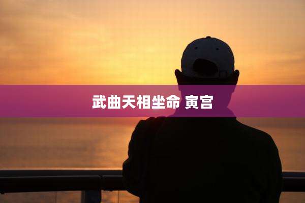 武曲天相坐命 寅宫