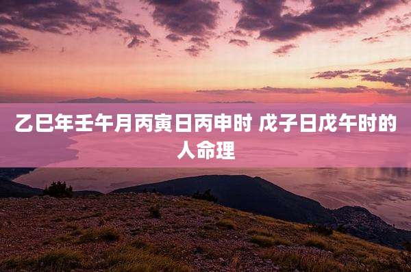乙巳年壬午月丙寅日丙申时 戊子日戊午时的人命理
