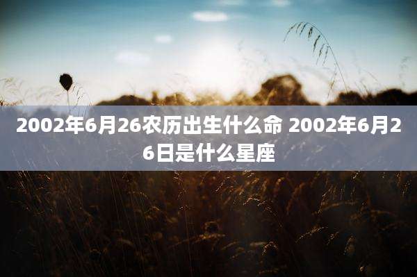 2002年6月26农历出生什么命 2002年6月26日是什么星座