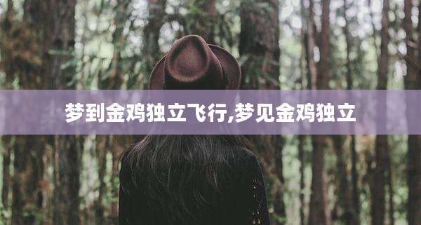 梦到金鸡独立飞行,梦见金鸡独立