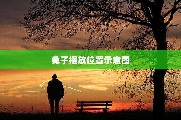 兔子摆放位置示意图