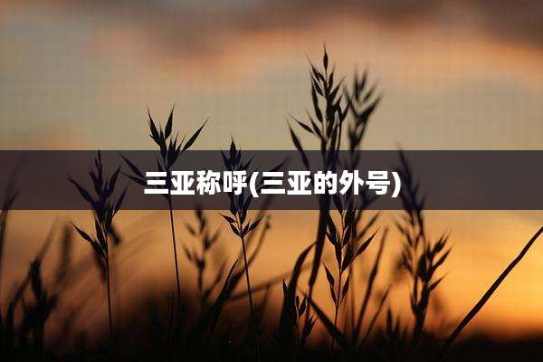 三亚称呼(三亚的外号)