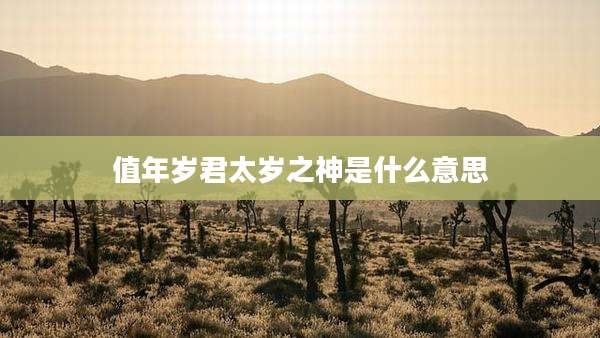 值年岁君太岁之神是什么意思