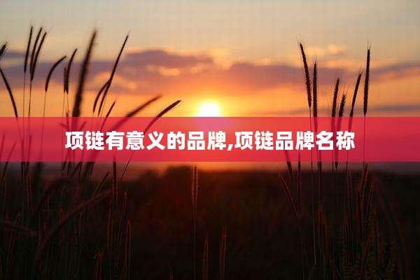 项链有意义的品牌,项链品牌名称