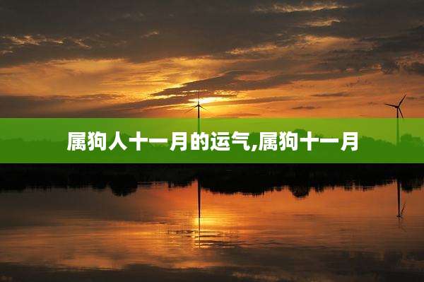 属狗人十一月的运气,属狗十一月