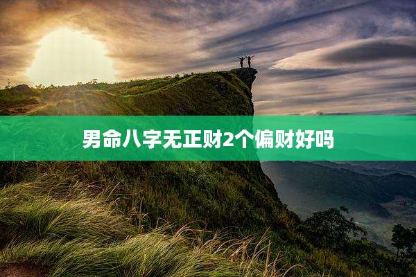 男命八字无正财2个偏财好吗