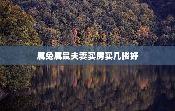 属兔属鼠夫妻买房买几楼好