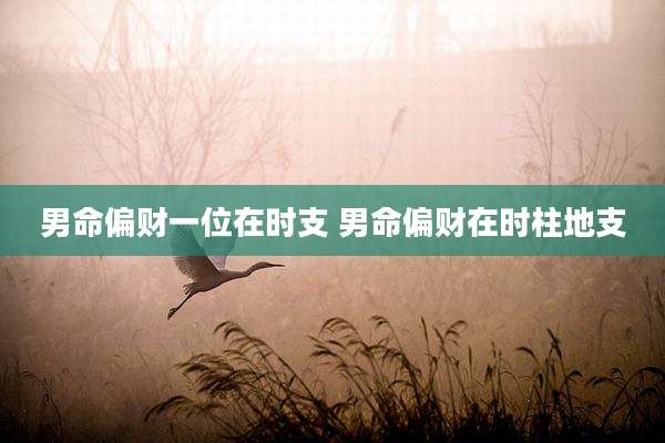 男命偏财一位在时支 男命偏财在时柱地支