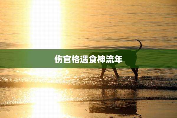 伤官格遇食神流年