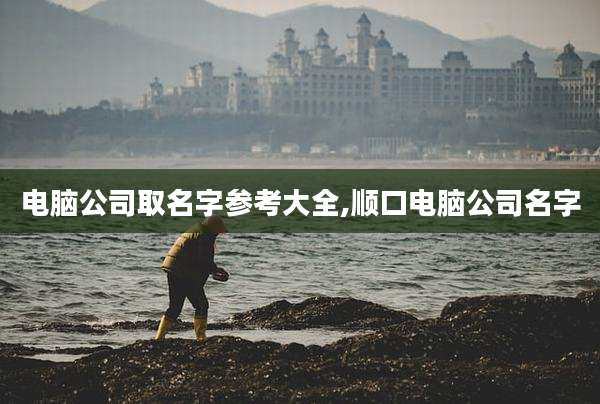 电脑公司取名字参考大全,顺口电脑公司名字