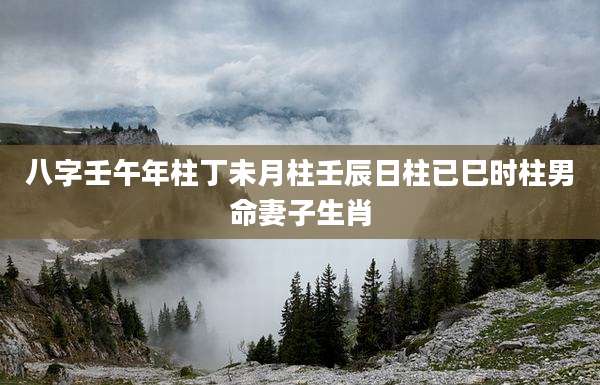 八字壬午年柱丁未月柱壬辰日柱已巳时柱男命妻子生肖