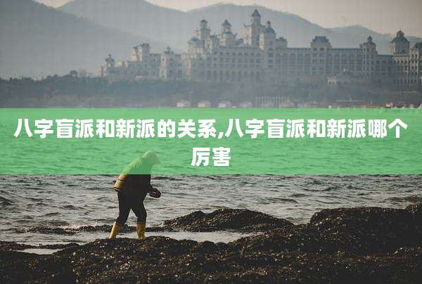 八字盲派和新派的关系,八字盲派和新派哪个厉害