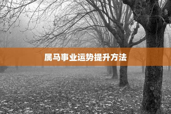 属马事业运势提升方法