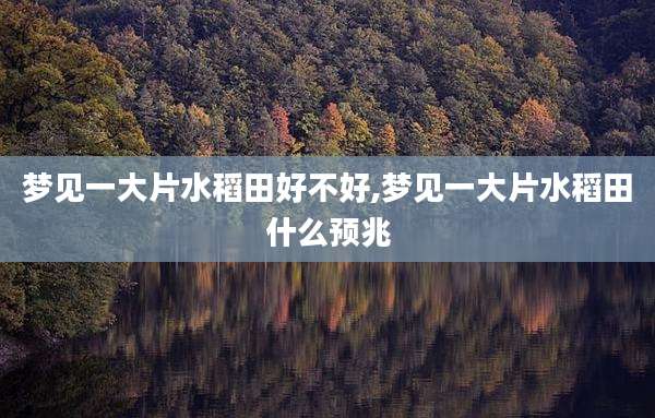 梦见一大片水稻田好不好,梦见一大片水稻田什么预兆