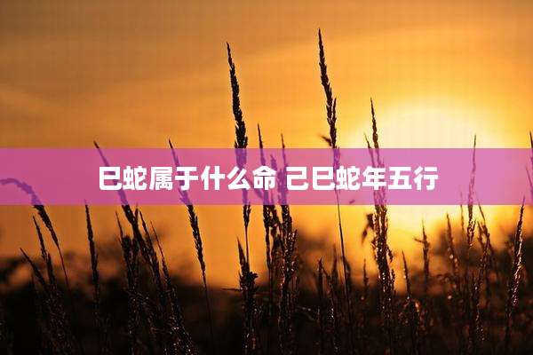 巳蛇属于什么命 己巳蛇年五行