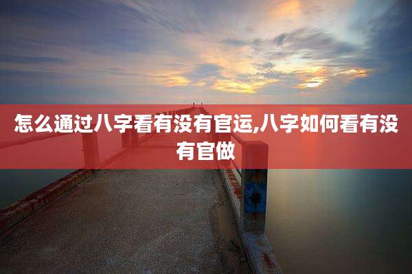 怎么通过八字看有没有官运,八字如何看有没有官做