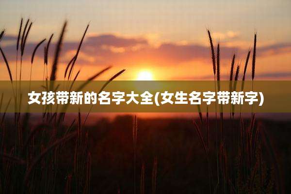 女孩带新的名字大全(女生名字带新字)