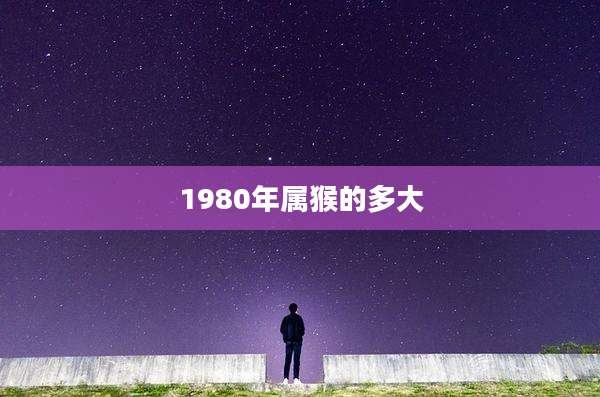 1980年属猴的多大
