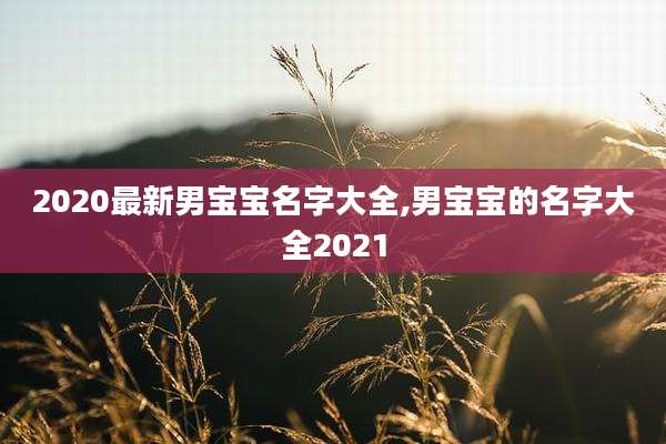 2020最新男宝宝名字大全,男宝宝的名字大全2021