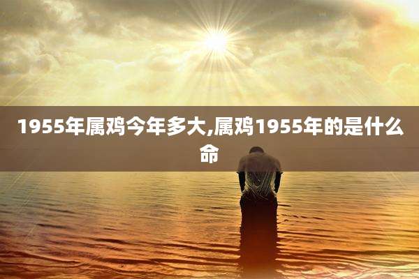1955年属鸡今年多大,属鸡1955年的是什么命