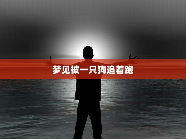 梦见被一只狗追着跑