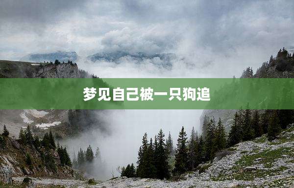 梦见自己被一只狗追