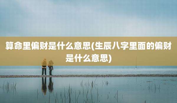 算命里偏财是什么意思(生辰八字里面的偏财是什么意思)