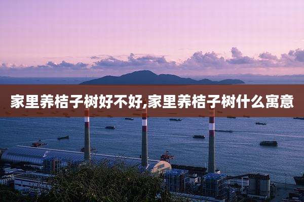 家里养桔子树好不好,家里养桔子树什么寓意