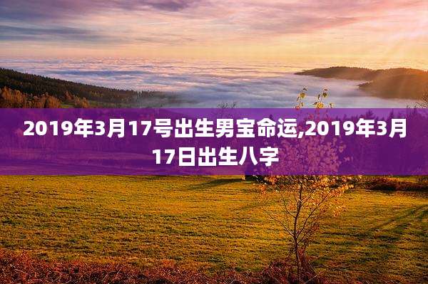 2019年3月17号出生男宝命运,2019年3月17日出生八字