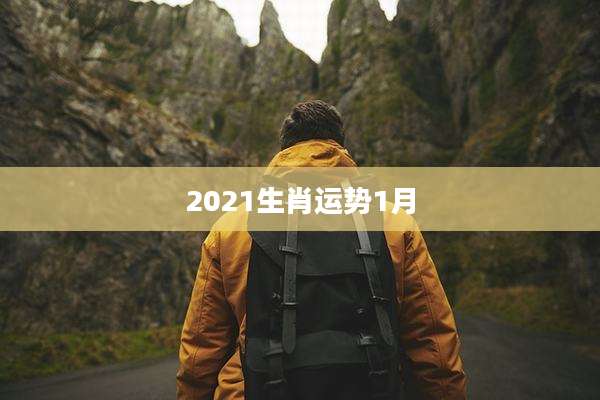 2021生肖运势1月