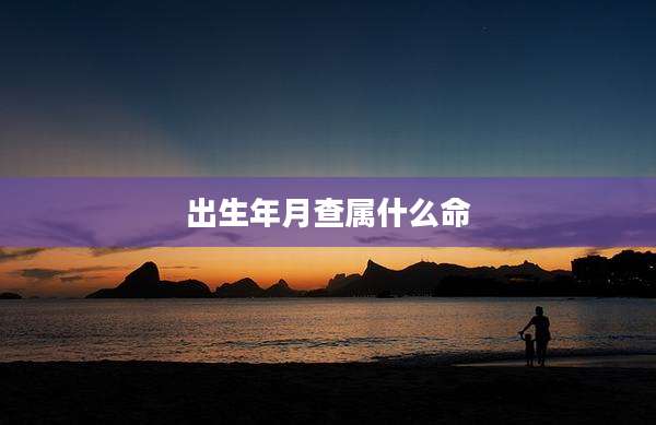 出生年月查属什么命