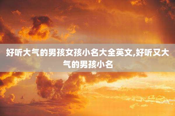 好听大气的男孩女孩小名大全英文,好听又大气的男孩小名
