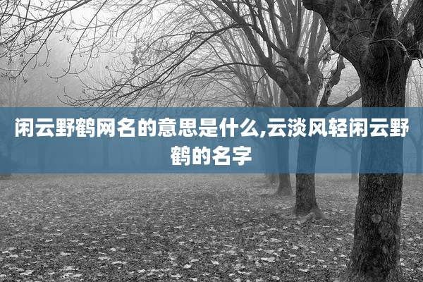 闲云野鹤网名的意思是什么,云淡风轻闲云野鹤的名字