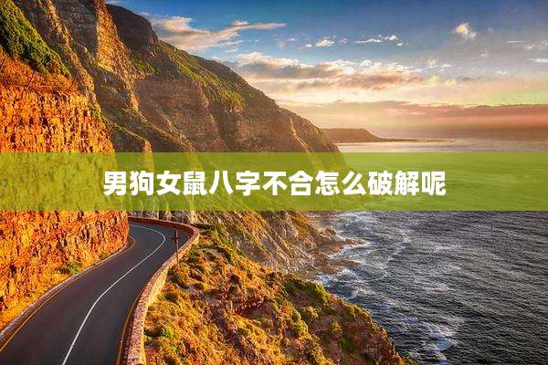 男狗女鼠八字不合怎么破解呢
