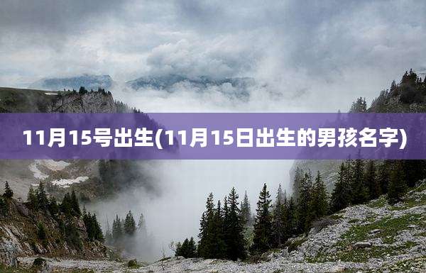 11月15号出生(11月15日出生的男孩名字)