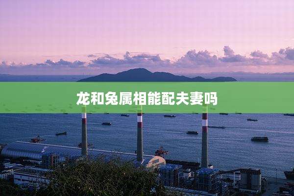 龙和兔属相能配夫妻吗
