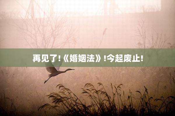 再见了!《婚姻法》!今起废止!
