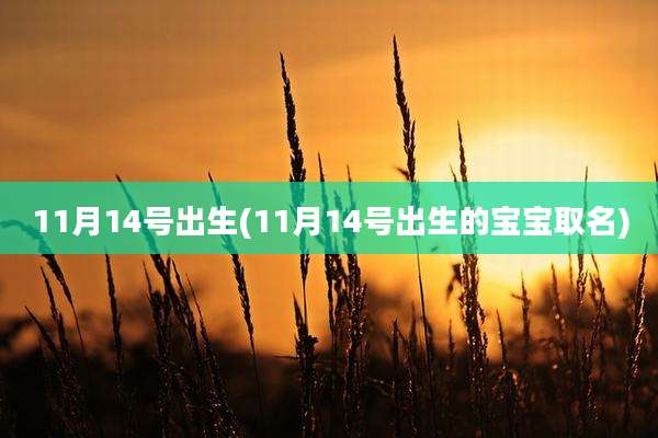 11月14号出生(11月14号出生的宝宝取名)