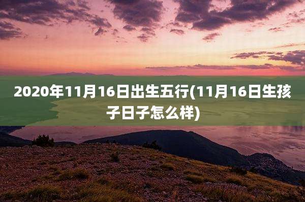 2020年11月16日出生五行(11月16日生孩子日子怎么样)
