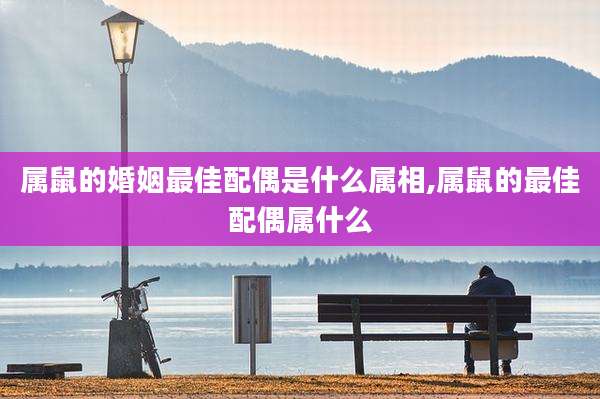 属鼠的婚姻最佳配偶是什么属相,属鼠的最佳配偶属什么