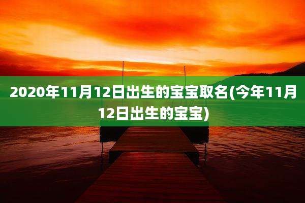 2020年11月12日出生的宝宝取名(今年11月12日出生的宝宝)