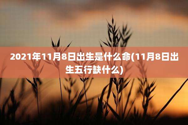 2021年11月8日出生是什么命(11月8日出生五行缺什么)