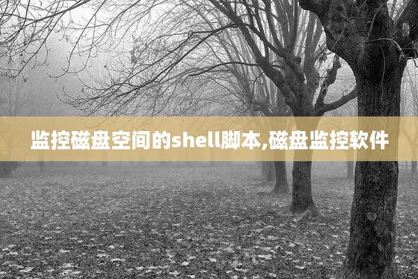 监控磁盘空间的shell脚本,磁盘监控软件