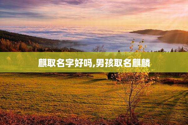 麒取名字好吗,男孩取名麒麟