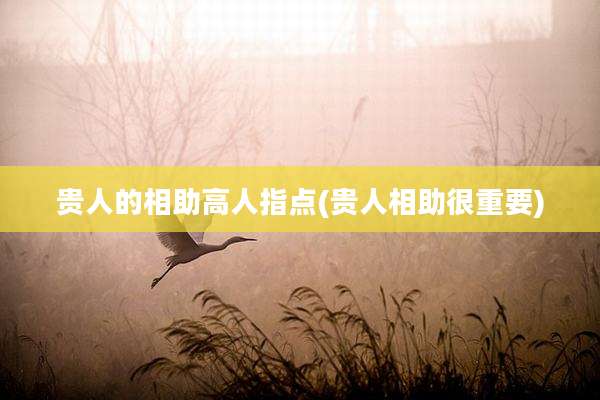 贵人的相助高人指点(贵人相助很重要)