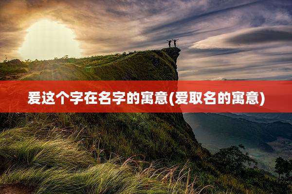 爰这个字在名字的寓意(爱取名的寓意)